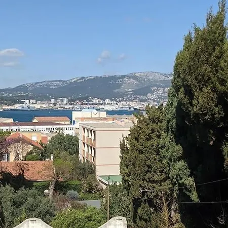 Provencale Stella Maris