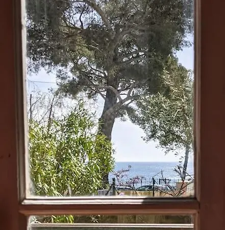 Provencale Stella Maris Tolone